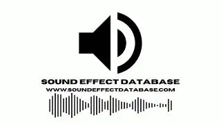 Fruit Bat Wing Flaps (2) Sound Effect