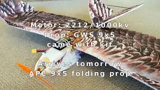 RC Eagle Maiden Flight
