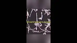 Загибай палец если зажыгал под ету песню.