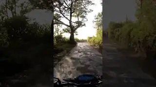 Lautan embun pagi Bromo