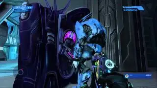 Caught An Elite Watching Pom... - Halo MCC