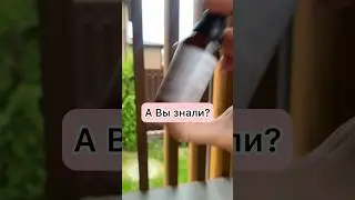 1 июня 2024 г.