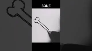 drawing bone simple 