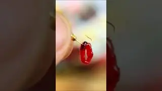 Как насадить мотыля на мормышку способ №2 