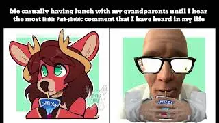 Furry Memes but the Punchline is Replaced with In the Virtual End