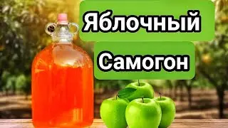 ЯБЛОЧНЫЙ САМОГОН "КАЛЬВАДОС" В ДОМАШНИХ УСЛОВИЯХ. Простейший рецепт приготовления.