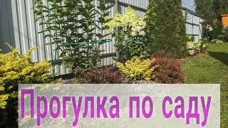 30 июля 2024 г. Обзор сада