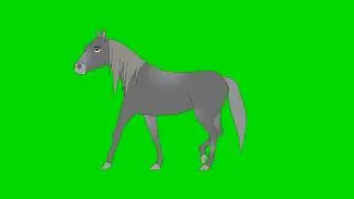 Horse Walking Green Screen Background | Green Screen Horse | Green Screen Background (No Copyright)