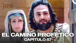 Los Hermanos De José Llegaron Al Palacio | El Camino Profético