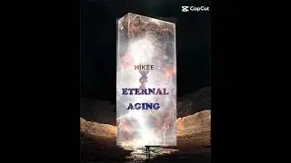 Eternal Aging