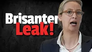 INSIDER bricht SCHWEIGEN: SO wird AfD kaltgestellt