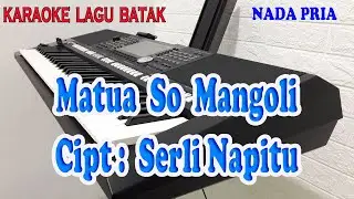 MATUA SO MANGOLI ll KARAOKE BATAK ll BERLIN SINAGA ll NADA PRIA A=DO