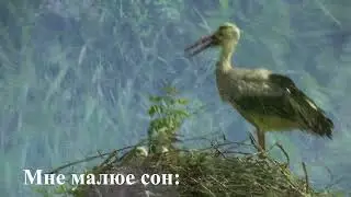 Полонез Огинского ("Песняры", на 4-х языках)
