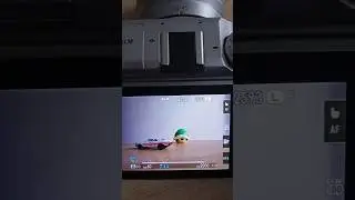 Autofocus Lock di Kamera Fujifilm 
