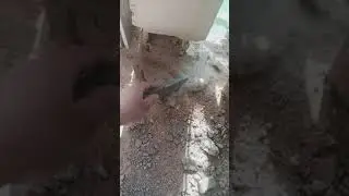 Sıkıntı Büyük - Böyle Kolon Görmediniz