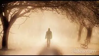 Du hast nun ein ganzes Jahr hinter dir