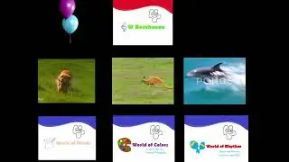 9 W Family Discovery Kit Videos At Once