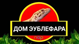 Дом, в котором Эу.