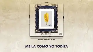 Big Los - Panochita De Oro - version completa ( Lyric Video)