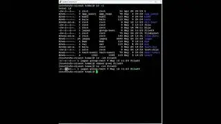Red Hat Linux - chmod command - How to grant Read, Write, and execute permissions to groups