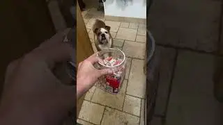 Treat time!!!