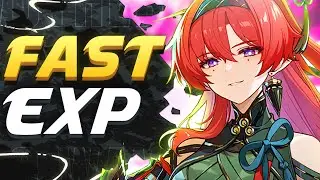 How To Level Up UNION EXP FAST In Wuthering Waves
