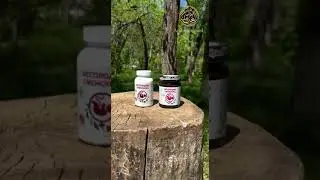 БЕСПЛОДИЕ ЖЕНСКОЕ / АРИФ ХИДЖАМА БЕЛАЯ ДАЧА +79023340000 #котельники #москва
