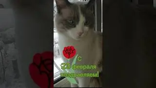 Поздравление с 23 февраля #поздравление #23февраля #юмор #приколы