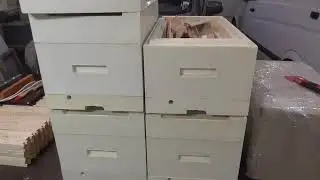 Новые нуклеусы из ППУ