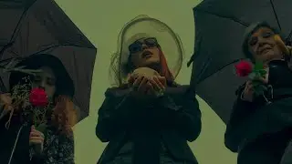 Dani Barranco - Odio (Cobarde)