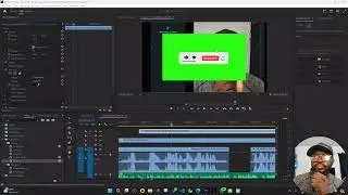Solved : Removing Green Screen Not Working In Premier Pro