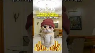 Why can't you save your whole life?