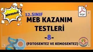Biyoloji MEB kazanım kavrama testleri 12.sınıf -8 (FOTOSENTEZ VE KEMOSENTEZ)