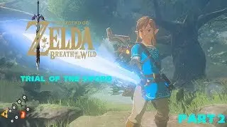 Legend Of Zelda: Breath Of The Wild: Trial Of The Sword: Part 2 - Vidya Bros.