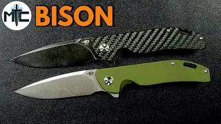 Bestech Bison - Overview and Review