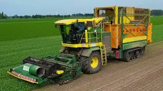 Basilicum oogsten | Harvesting basil | Ploeger MKC-2TR | Basilikum ernten | Oogst 2024