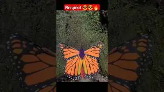 Respect 👌💯||s58 #shorts
