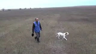 1115 (38) АП Эмиль Садовников ВИ  АП Эрик Стафёров И