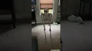 Skeleton falling meme | Smashzilla Memes 132 