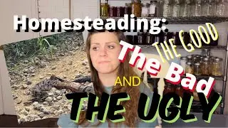 Should You REALLY Homestead? Here’s Our Answer!