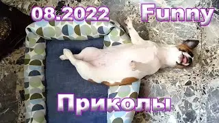 Приколы с Win за август 2022. Funny