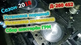 13-д 2018 
