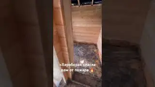 Эковата не горит - проверено молнией! 