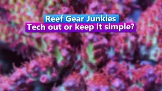 Reef Gear Junkies - Tech out or keep it simple?