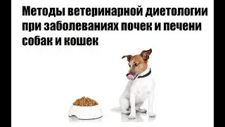 Методы ветеринарной диетологии при заболеваниях почек и печени собак и кошек