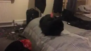 Throwing a starburst at my cat