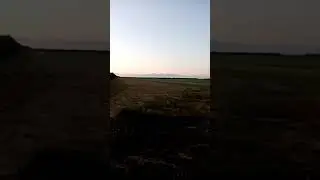Юмз 6 сенокос