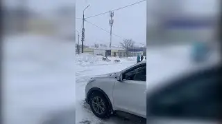 Бродячие собаки терроризируют Шахтёрск (о. Сахалин)