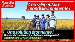 [French 불어] Ferme Oasis de Doalnara | Une introduction à l'endroit le plus heureux de la planète !
