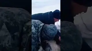 Операцию по спасению изюбря развернули в Баргузинском районе. Лесной красавец попал в полынью 🦌 🌊